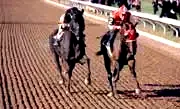 Photo 2 du film : Pur-Sang, la légende de Seabiscuit