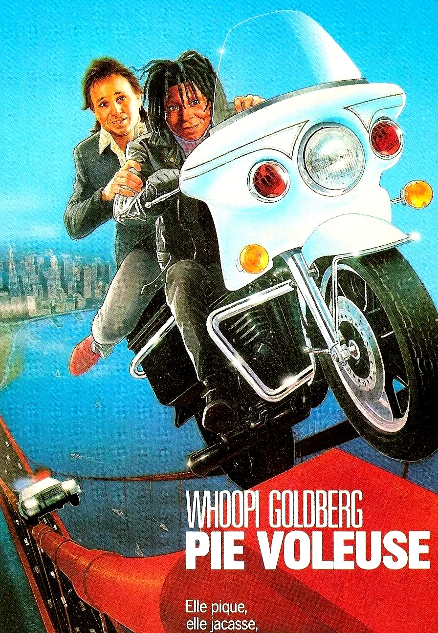 Affiche du film : Pie voleuse