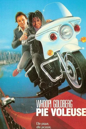 Affiche du film : Pie voleuse