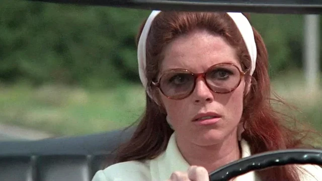 Photo 5 du film : La Dame dans l'auto avec des lunettes et un fusil