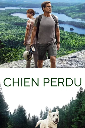 Affiche du film : Chien perdu