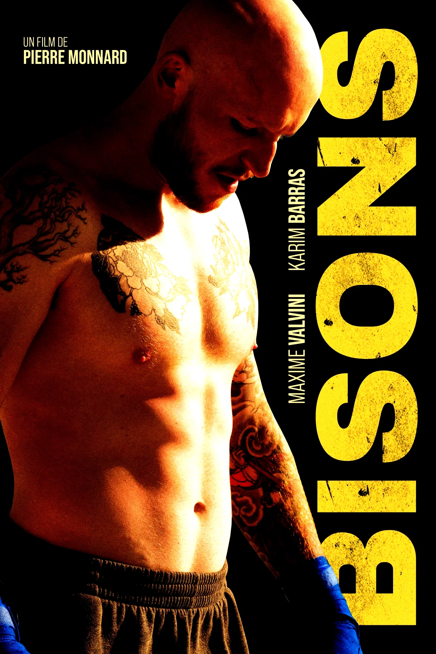 Photo 7 du film : Bisons