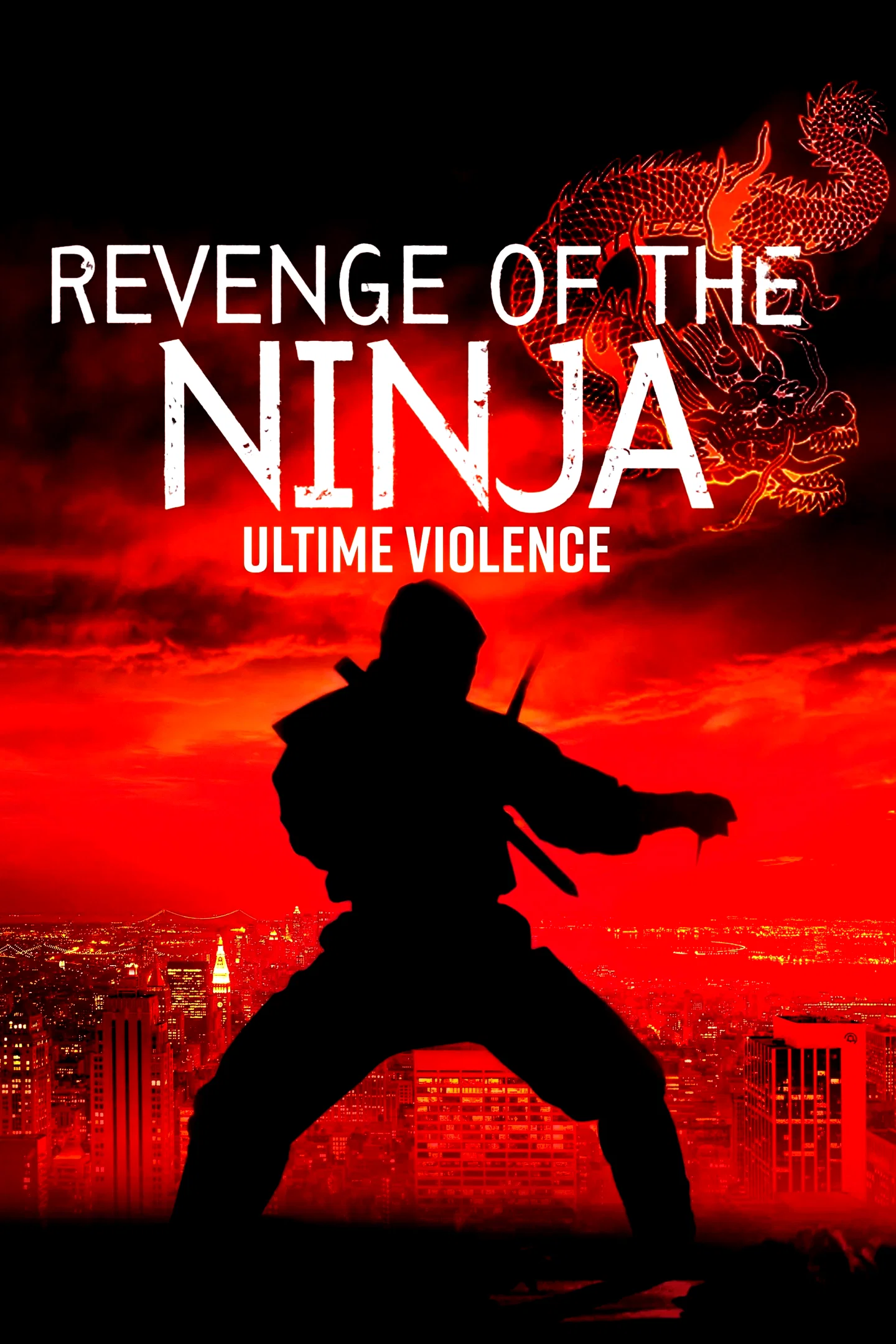 Affiche du film : Ultime violence