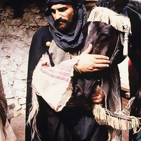 Photo du film : La vengeance du faucon