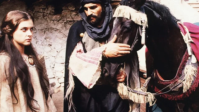 Photo 3 du film : La vengeance du faucon