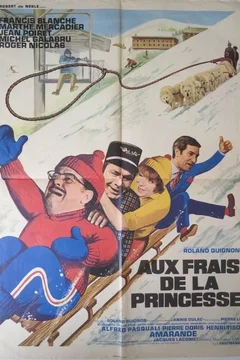 Affiche du film Aux frais de la princesse