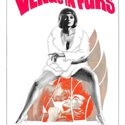 Miniature photo du film : Venus in Furs
