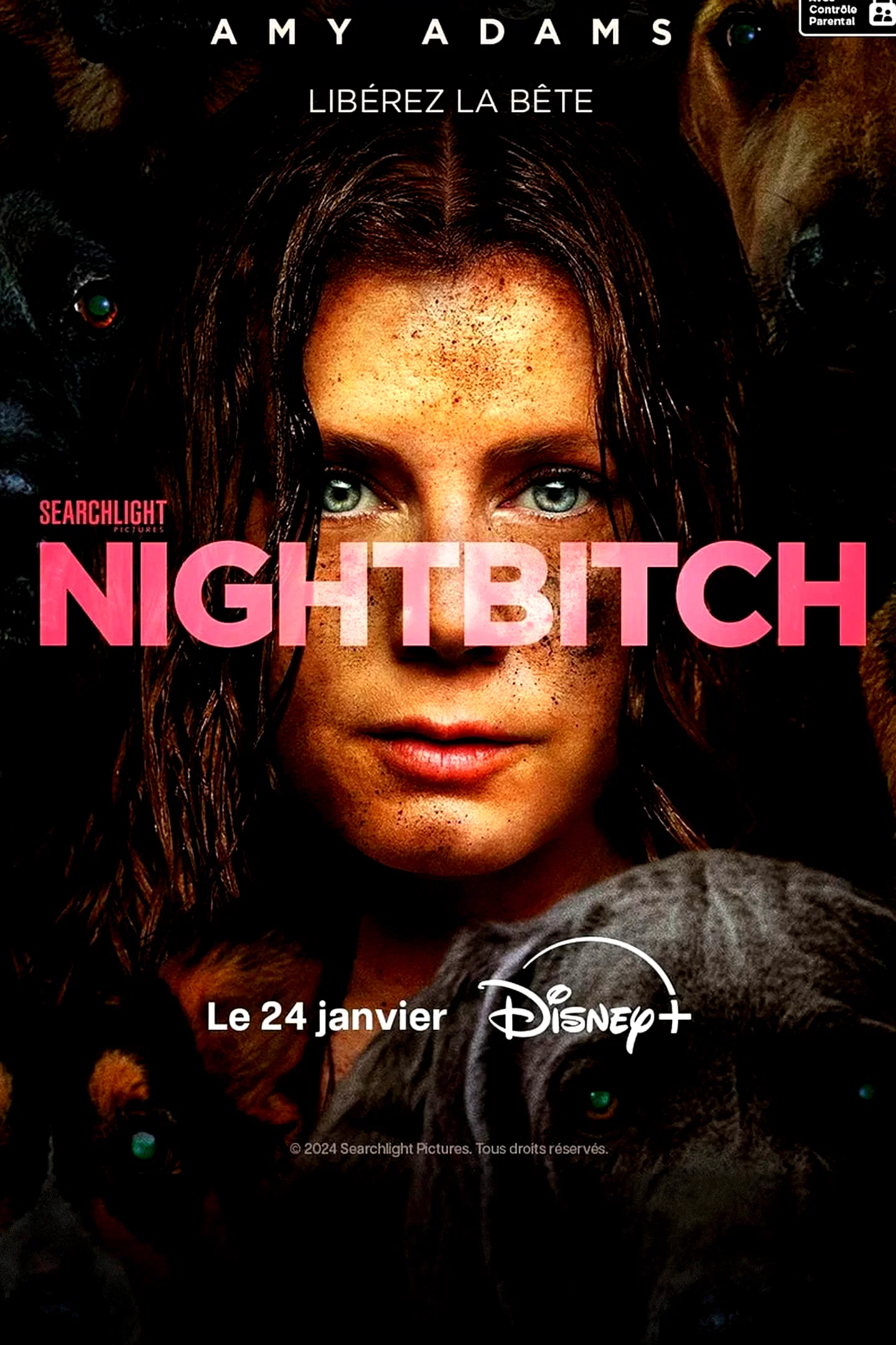 Photo 2 du film : Nightbitch