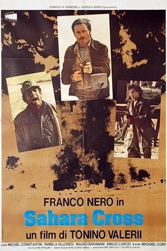 Affiche du film Les requins du desert