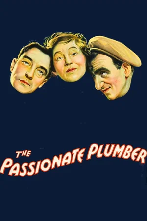 Affiche du film : Le plombier amoureux