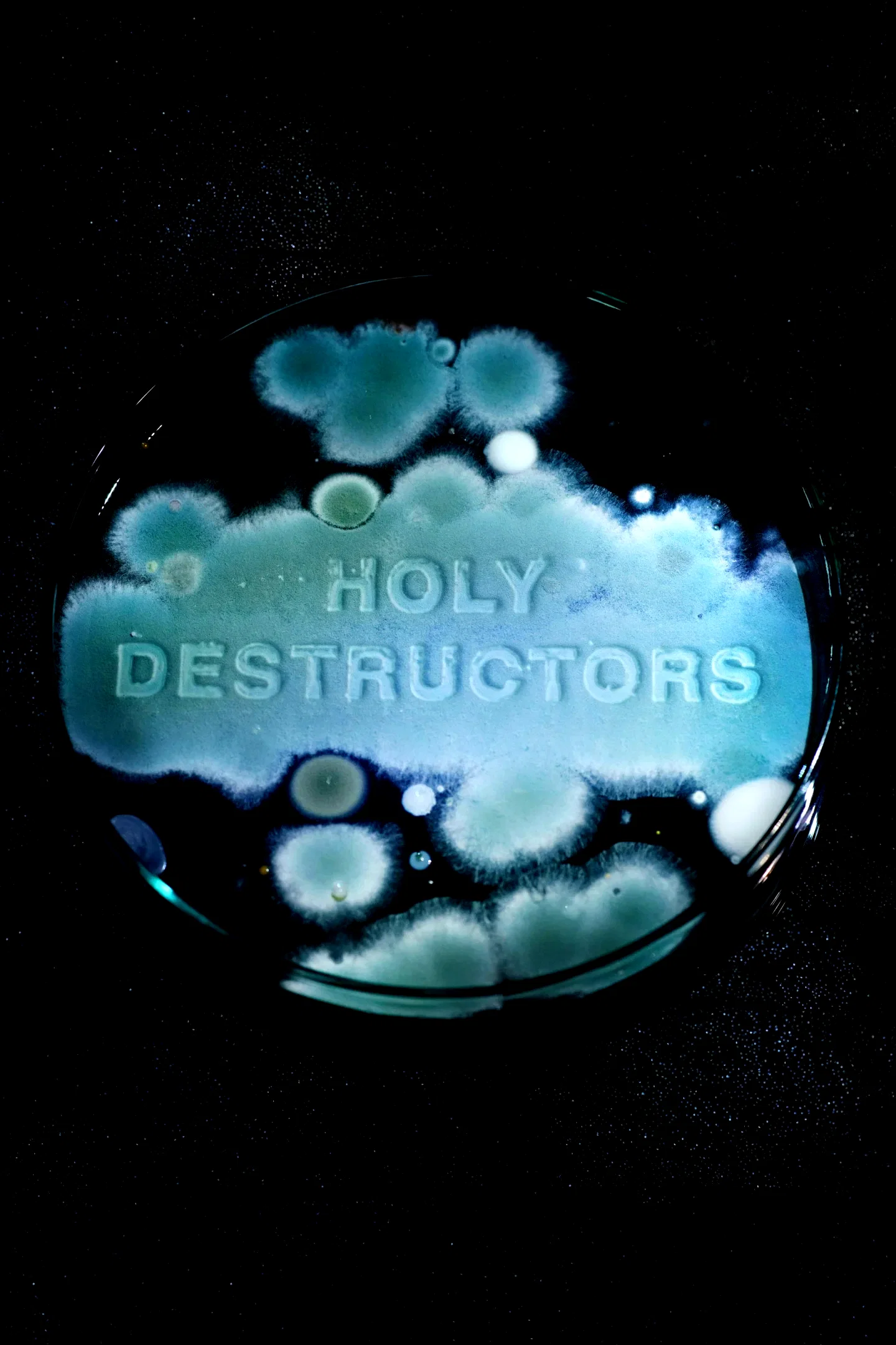 Photo 2 du film : Holy Destructors
