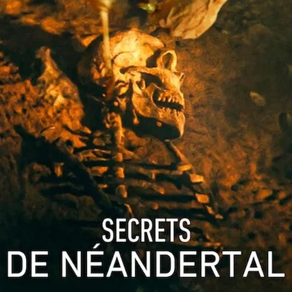 Miniature photo du film : Secrets de Néandertal