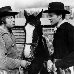Photo du film : Le repaire de l'aigle noir