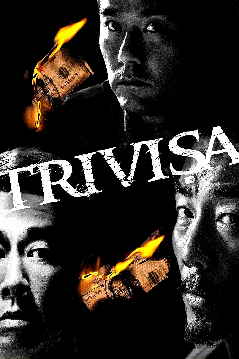 Affiche du film : Trivisa