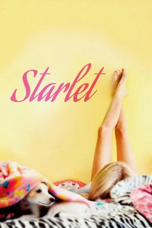Affiche du film : Starlet
