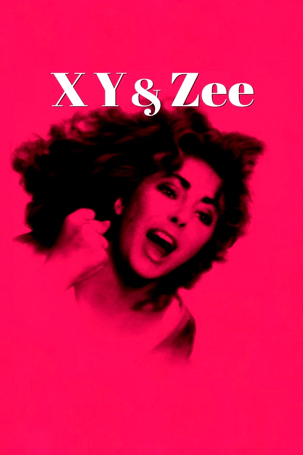 Affiche du film : Une belle tigresse