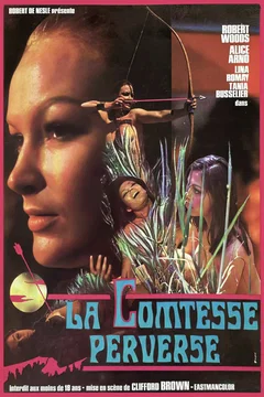 Affiche du film La Comtesse perverse