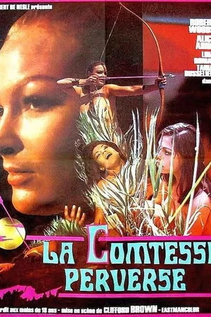 Photo 3 du film : La Comtesse perverse