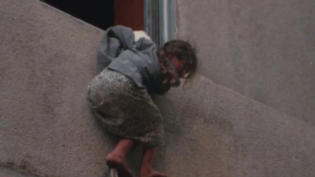 Photo 2 du film : Beyrouth, jamais plus
