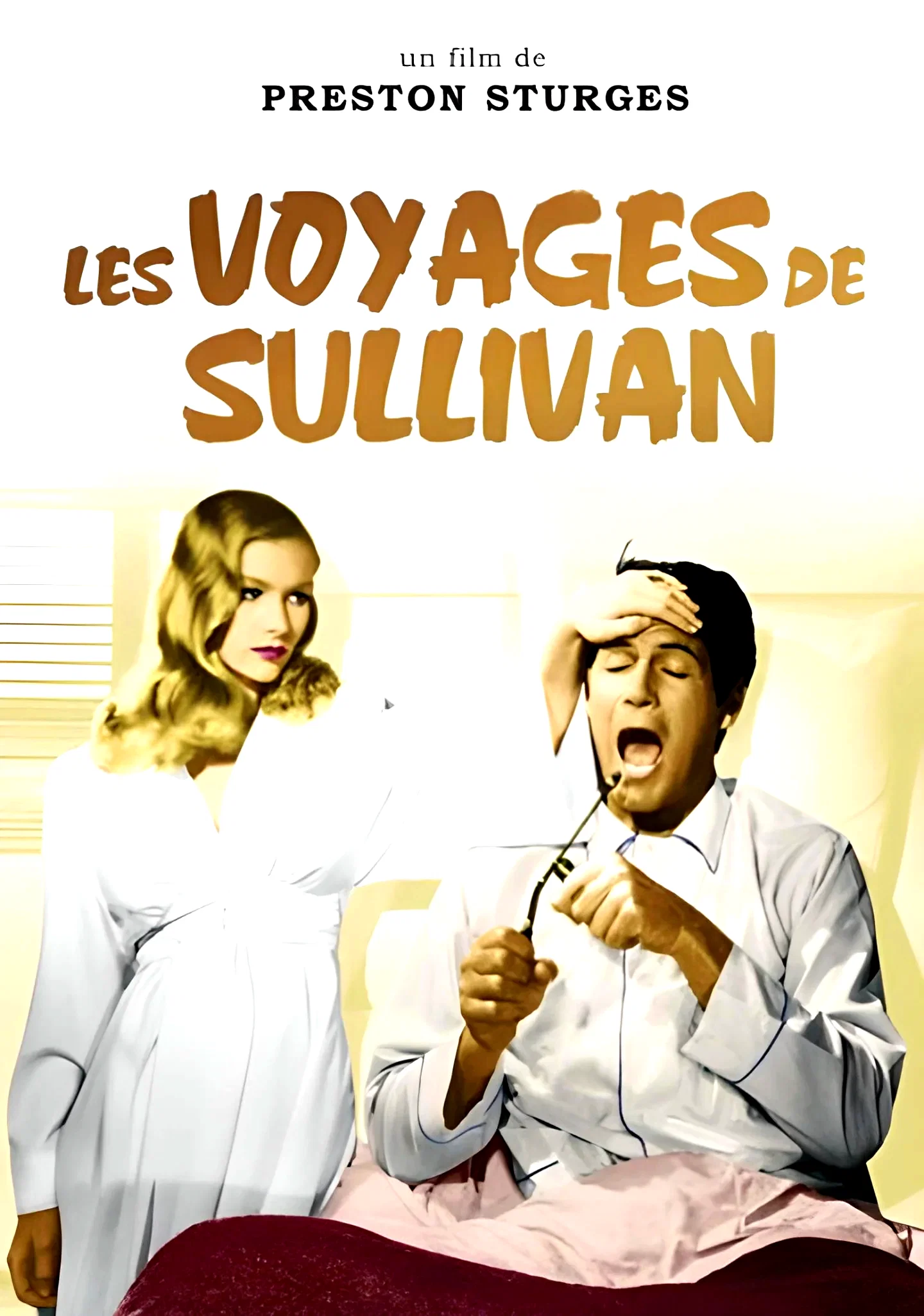 Photo du film : Les voyages de sullivan