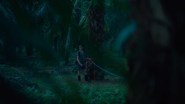 Photo 2 du film : If We Don't Burn, How Do We Light Up the Night