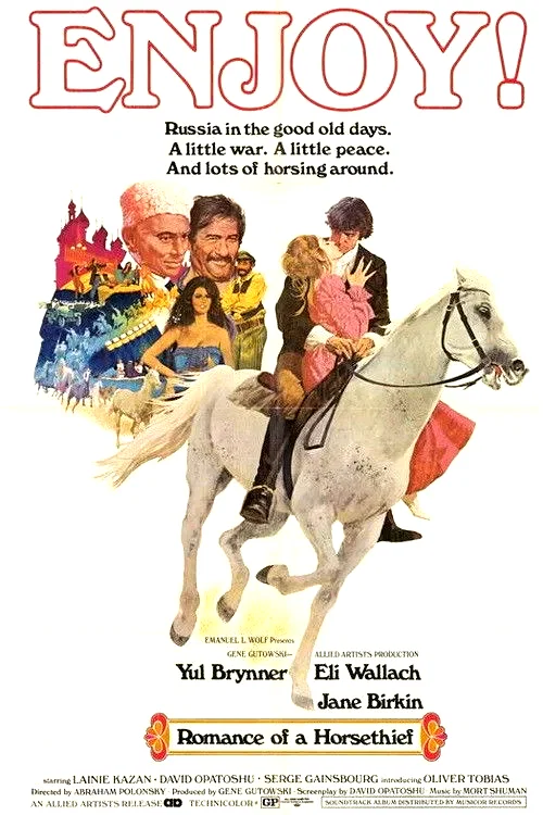 Affiche du film : Le roman d'un voleur de chevaux