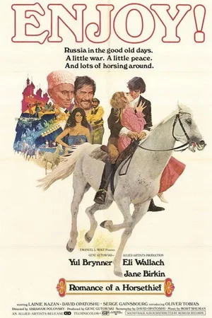 Affiche du film : Le roman d'un voleur de chevaux