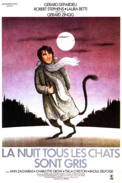 Affiche du film La nuit tous les chats sont gris