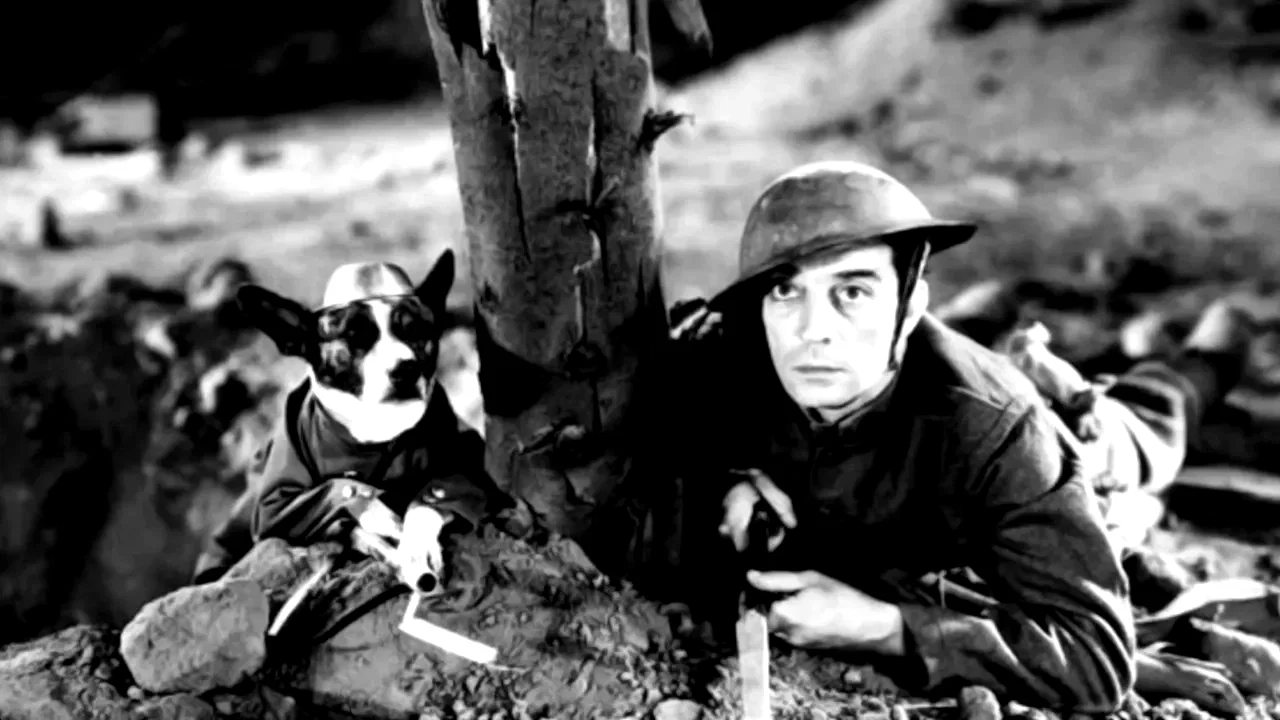 Photo du film : Buster s'en va t en guerre