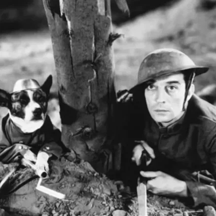 Miniature photo du film : Buster s'en va t en guerre