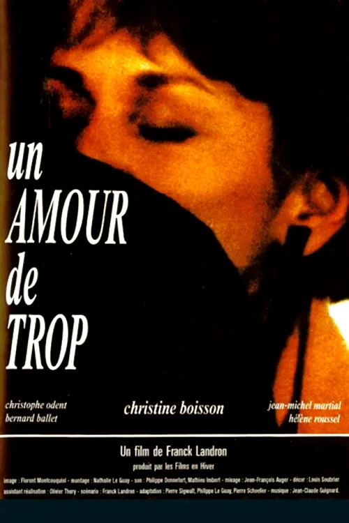 Affiche du film : Un amour de trop