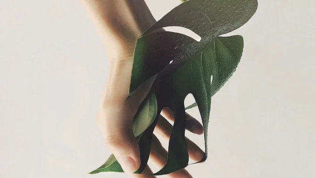 Photo du film : Régénération