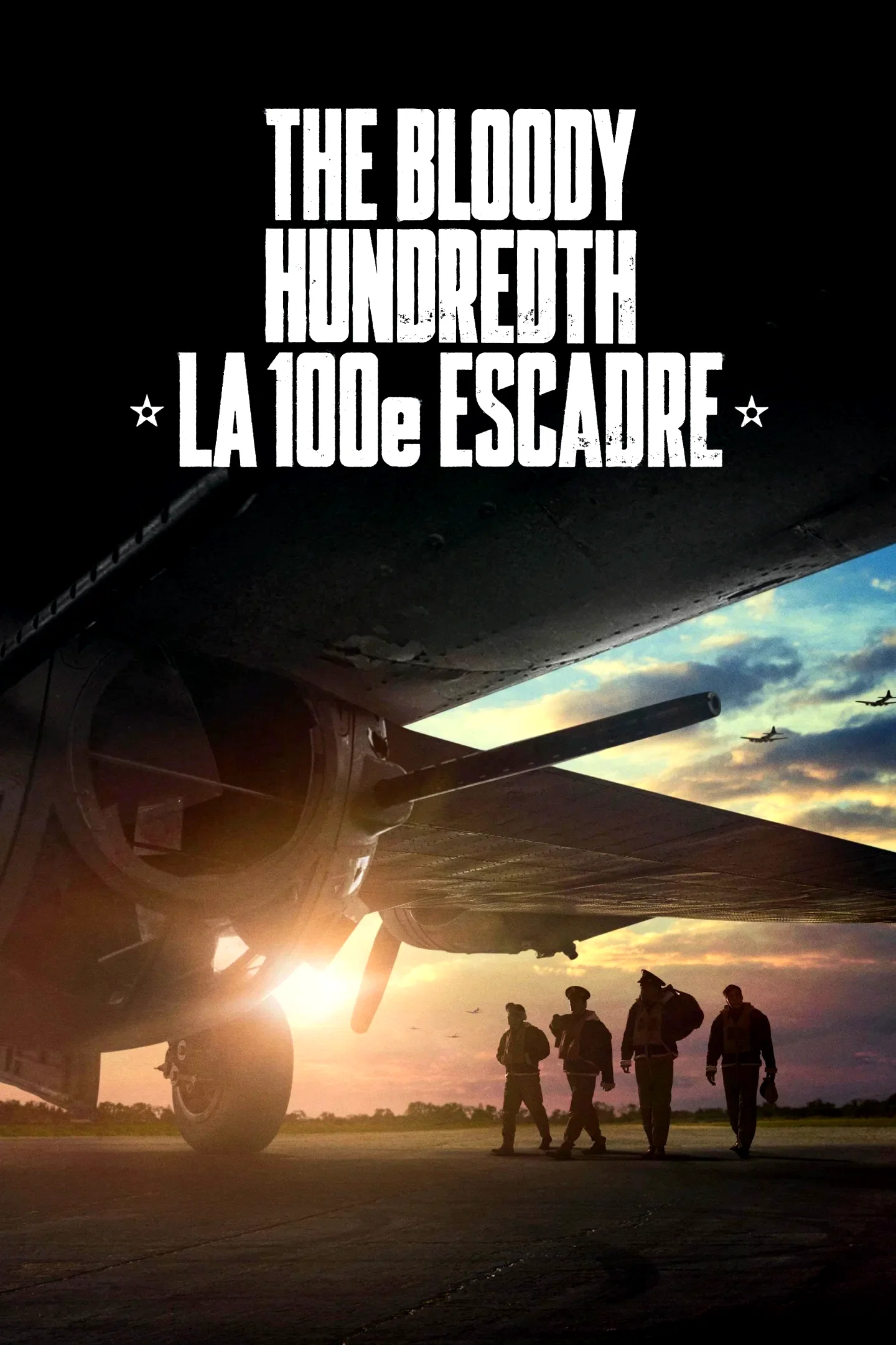 Affiche du film : The Bloody Hundredth : la 100e escadre