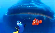 Photo 4 du film : Le Monde de Nemo