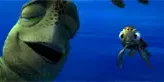 Photo 3 du film : Le Monde de Nemo