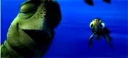 Photo 3 du film : Le Monde de Nemo