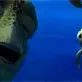 Photo du film : Le Monde de Nemo