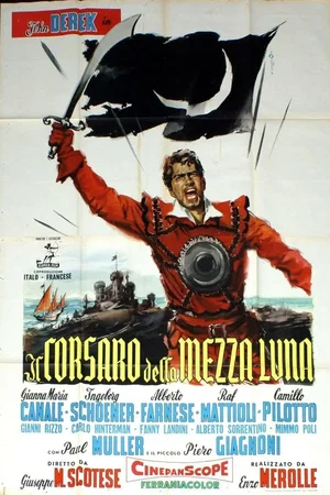 Affiche du film : La belle et le corsaire