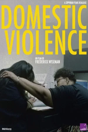 Affiche du film : Domestic violence