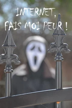 Affiche du film Internet, fais-moi peur !