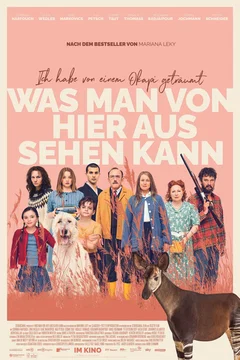 Affiche du film Le rêve de l'Okapi