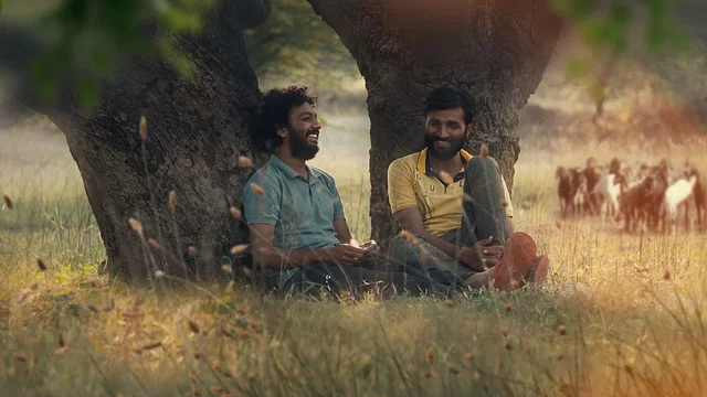 Photo du film : Cactus Pears