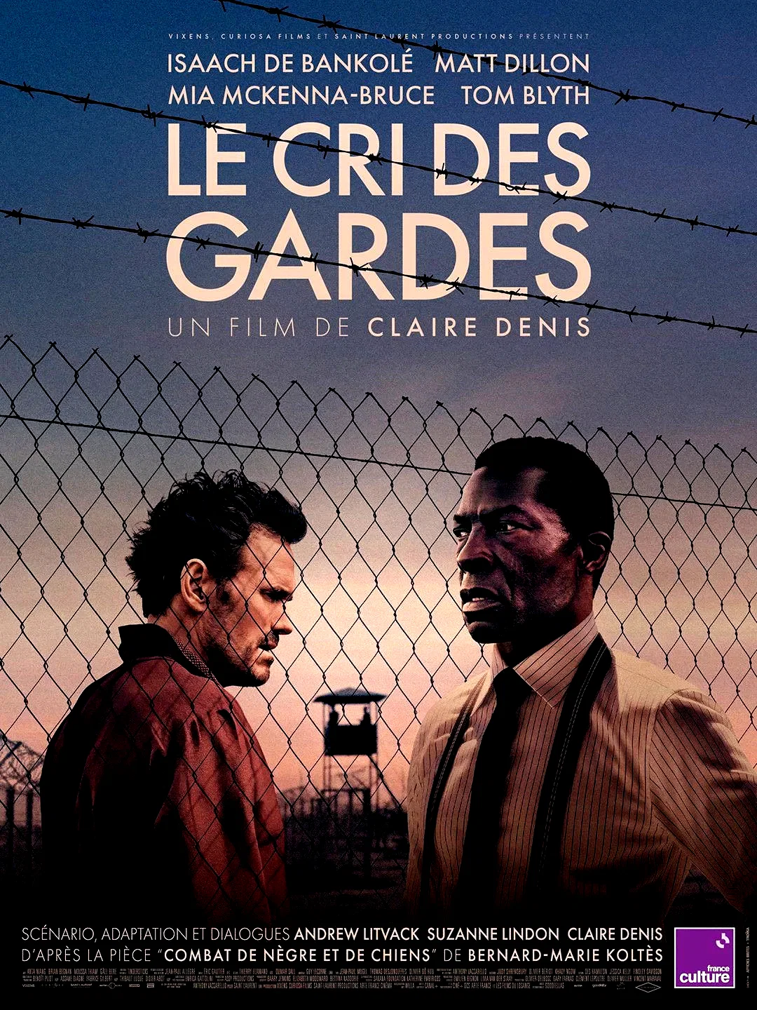 Affiche du film : Le cri des gardes