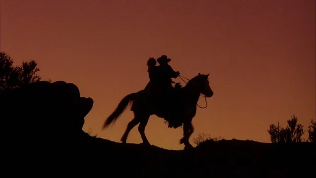 Photo du film : The Shooter