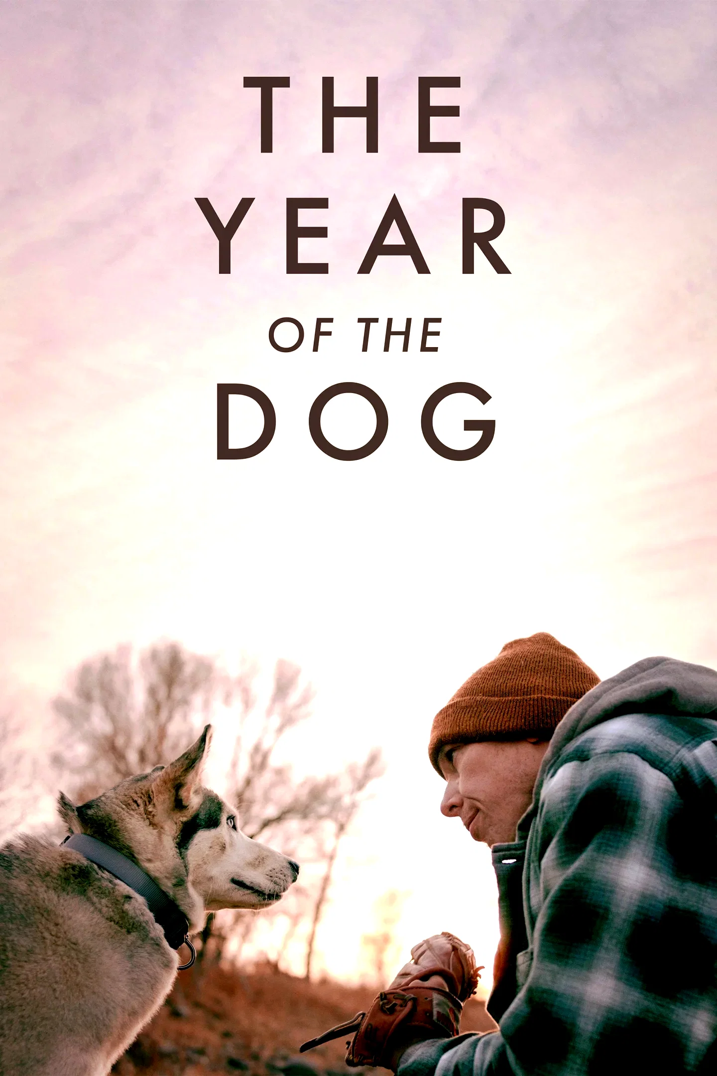 Affiche du film : The Year of the Dog