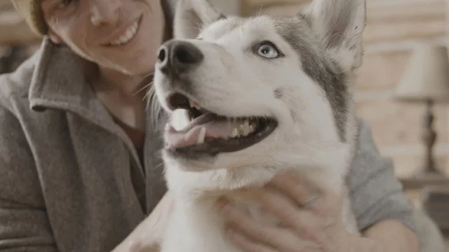 Photo 3 du film : The Year of the Dog