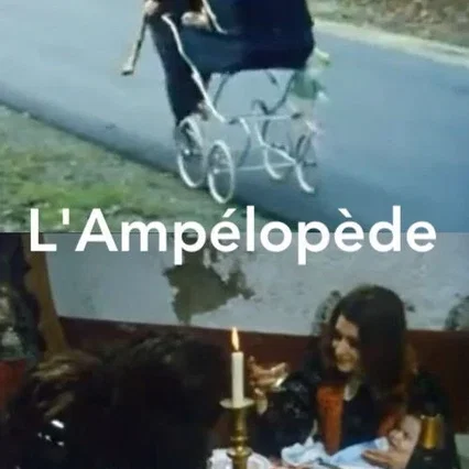 Miniature photo du film : L'ampélopède