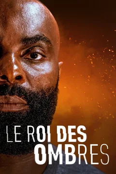 Affiche du film Le Roi des Ombres