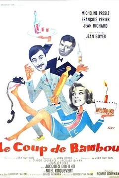Affiche du film Le coup de bambou