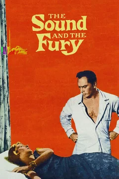 Affiche du film Le bruit et la fureur
